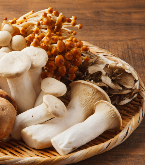 What Are Functional Mushrooms and Their Health Benefits?